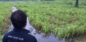 Ss rajamouli crop damaged by heavy rains