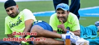 Sehwag harbhajan and zaheer can still come back