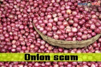 Aap govt at onion scam