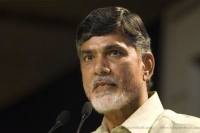 Ap cm chabdrababu naidu decided to conduct grendly the vibrant ap with seventy crore budget