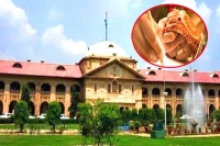Allahabad high court sensational judgement in interfaith marriage