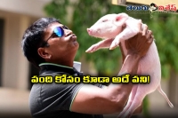 Adhugo title fix for ravi babu piglet movie