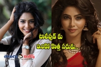 Mollywood debut actress craze in tollywood