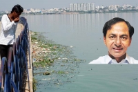 Ap irrigation minister uma maheshwarrao fired on kcr and his speech