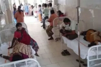 16 admitted to west godavari district hospital with eluru type symptoms