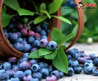 Healthy foods to cure digesting problems home remedies