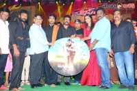 Brucelee the fighter movie audio launch