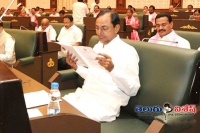 Kcr name for telangana government new scheme