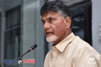 Tdp no take chances in 2019 elections