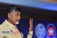 Chandrababu comments on bjp congress