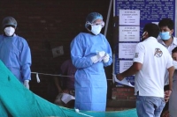 Coronavirus latest updates covid tally in ap crosses 5600 mark with 80 deaths