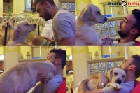 Dog adorably begs owner for forgiveness