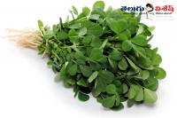 Fenugreek vine spinach green vegetables health benefits