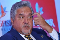 Foreign ministry suspends mallya s diplomatic passport