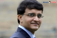 Ganguly says dhoni still has cricket left in him