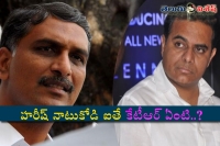 If harish rao country bird then ktr