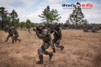 India surgical strike on pak killed 38 terrorists