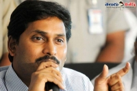 Jagan said that foolish chandrababu naidu