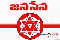 Janasena request to fans and party workers