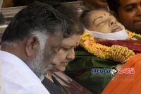 Jayalalithaa was pushed down at poes garden before hospitalisation