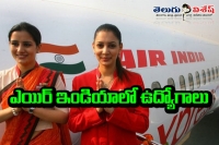 Jobs in air india limited cabin crew