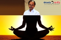 Telangana cm kcr didn t do yoga on the occasion of the international yoga day