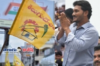 Ysrcp lost in kakinada corporation elections