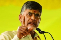 Ap cm candrababu naidu will appoint a commission for kapu reservation
