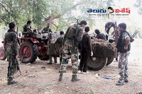 Maoist killed in gun battle between police and ultras in koraput