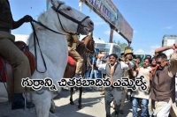 Bjp mla attacks police horse with lathi breaks its leg