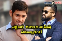 Mahesh babu about ntr