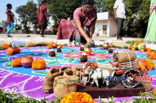 సంబరాల సంక్రాంతి పండుగ