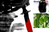 Man murdered for stealing mangoes in malhar mandal of karimnagar dist