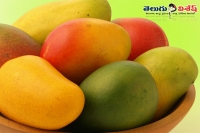 Mango fruits health benefits home remedies healthy food items