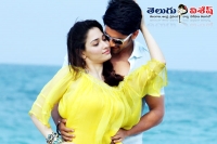 Naga chaitanya to romance with tamanna again