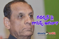 Telugu states governor again in vp race