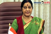 No decision on indo pak cricket series sushma swaraj