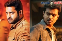 Ntr not interested in kaththi remake