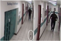 Terrified cop caught on cctv running away from mouse in police station