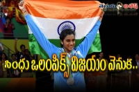 Pv sindhu special story