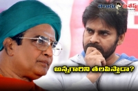 Pawan kalyan becomes another ntr in politics