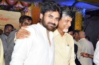 Pawan kalyan will meet ap cm chandrababu naidu