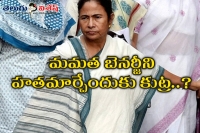 Plane carrying mamata banerjee hovers in sky tmc alleges conspiracy