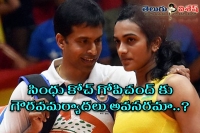 Is pullela gopichand eligible to be proud of sindhu coach