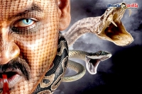 Raghava lawrence naaga telugu movie rights