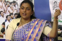 Roja said there is no men in tdp