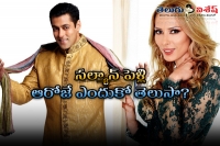 Salman khan wants to marry iulia vantur on november 18 this year