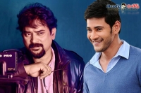 Cinematographer santosh sivan tweets about mahesh babu