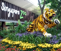 Best and most fascinating zoo zoo parks in world