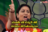 Smriti irani as chief ministerial face for up polls